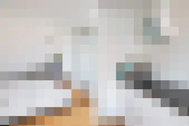 De Schans 6 Maassluis thumbnail 27