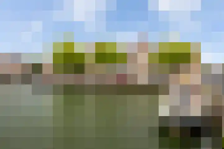 De Schans 6 Maassluis thumbnail 39