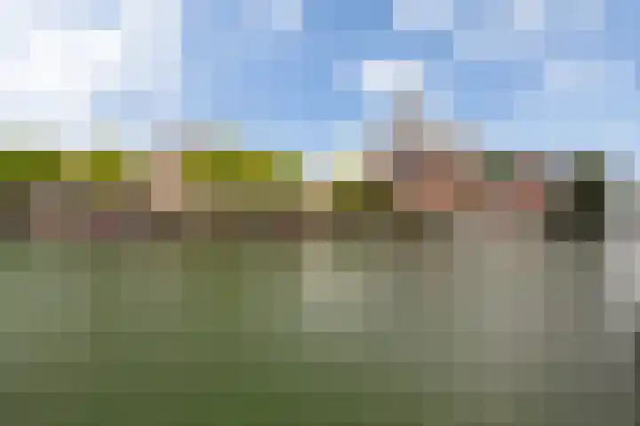 De Schans 6 Maassluis thumbnail 42