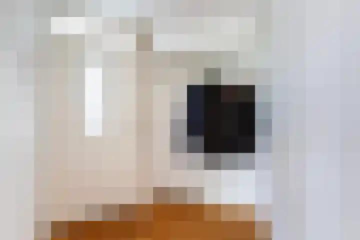 De Schans 6 Maassluis thumbnail 7