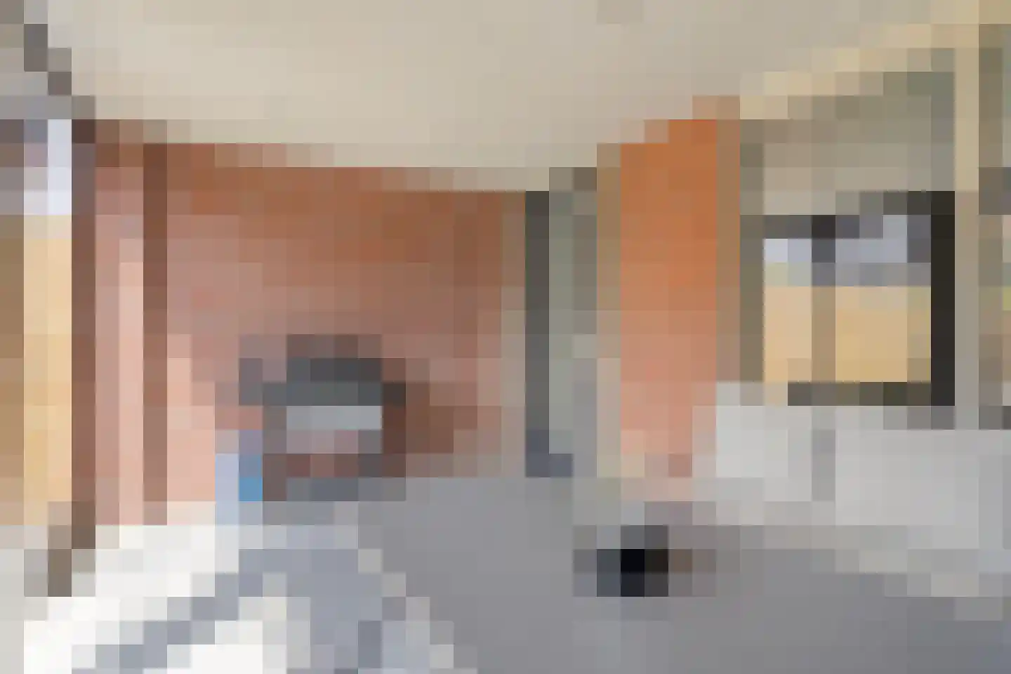 De Schans 64 Haps thumbnail 12