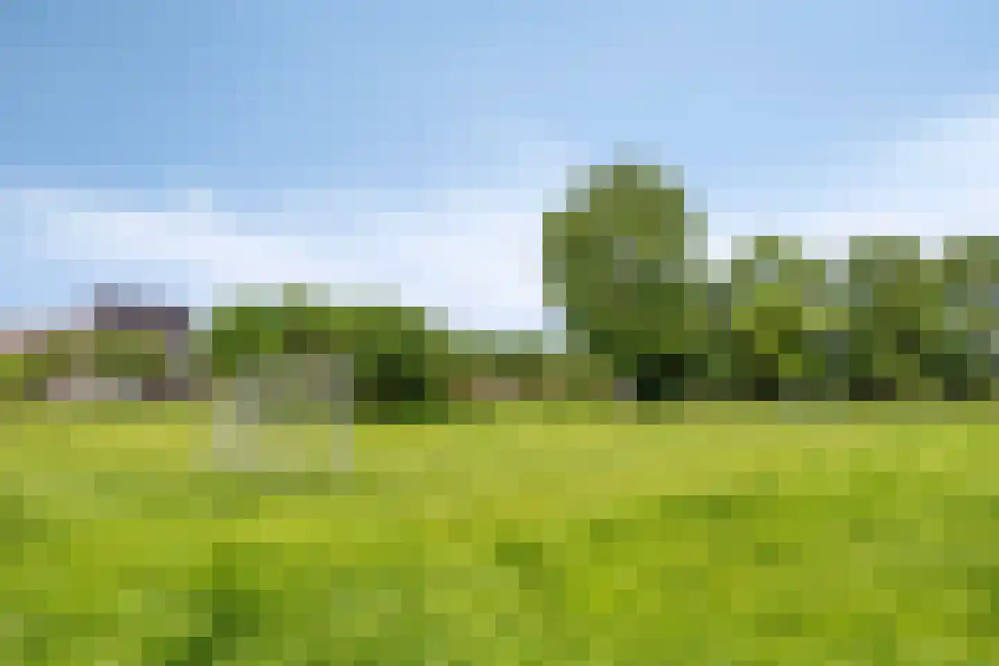De Schans 64 Haps thumbnail 23