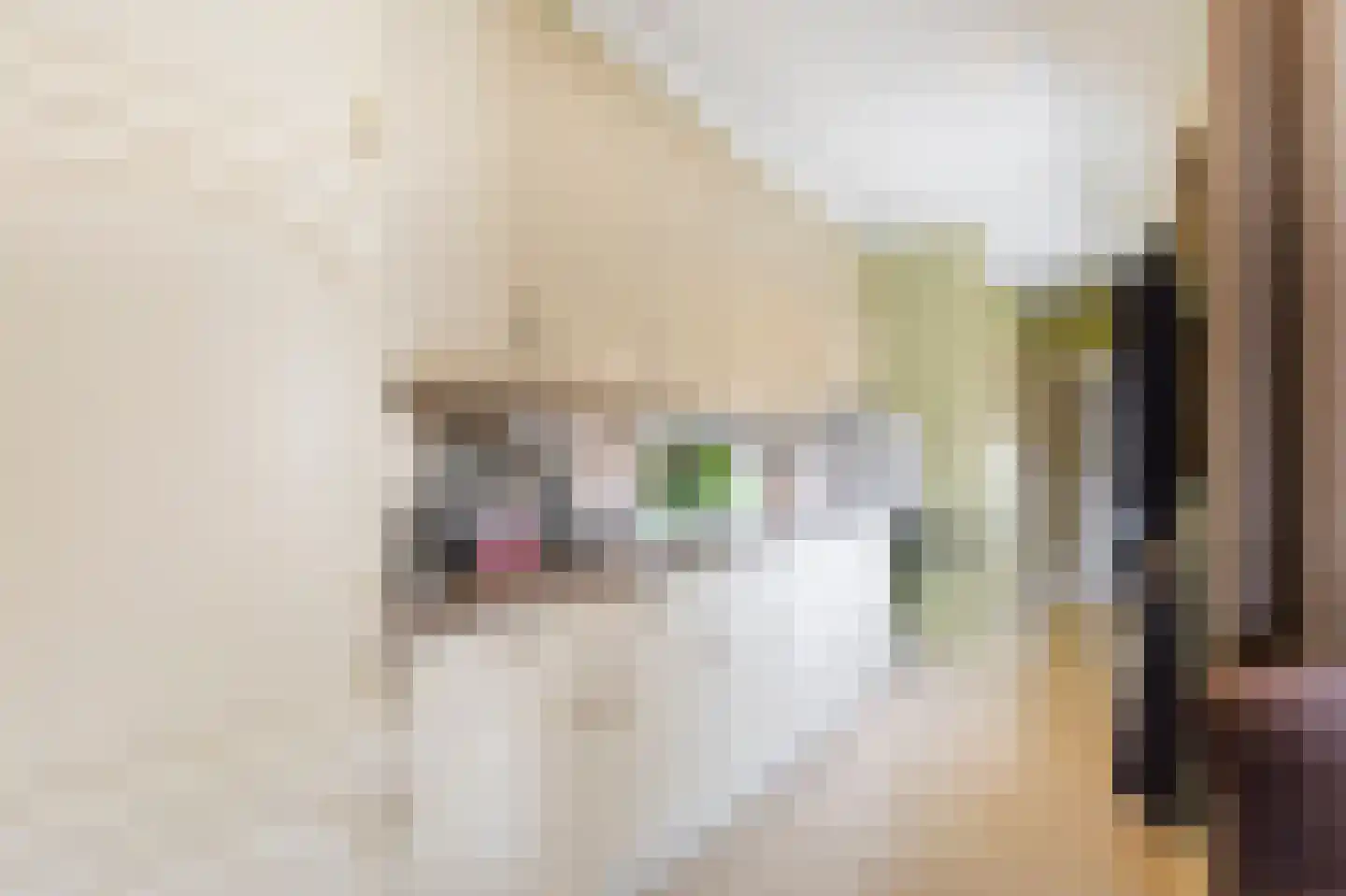 De Schans 7 Hoornaar thumbnail 10