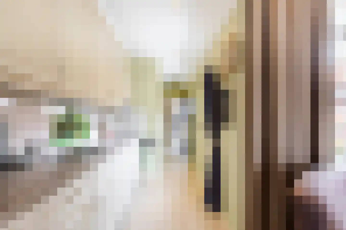 De Schans 7 Hoornaar thumbnail 11