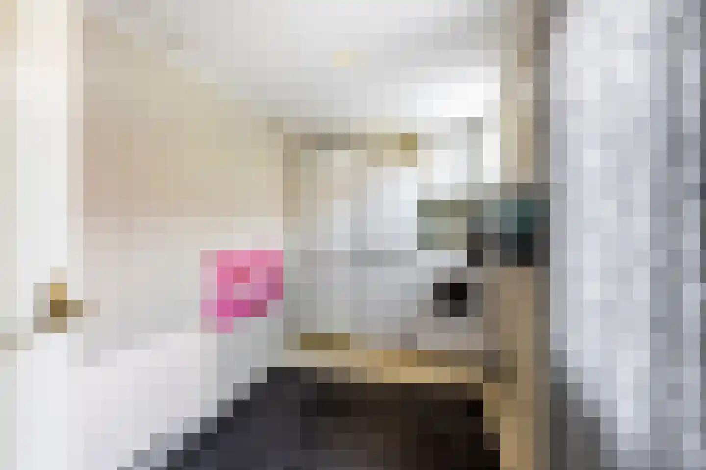 De Schans 7 Hoornaar thumbnail 13