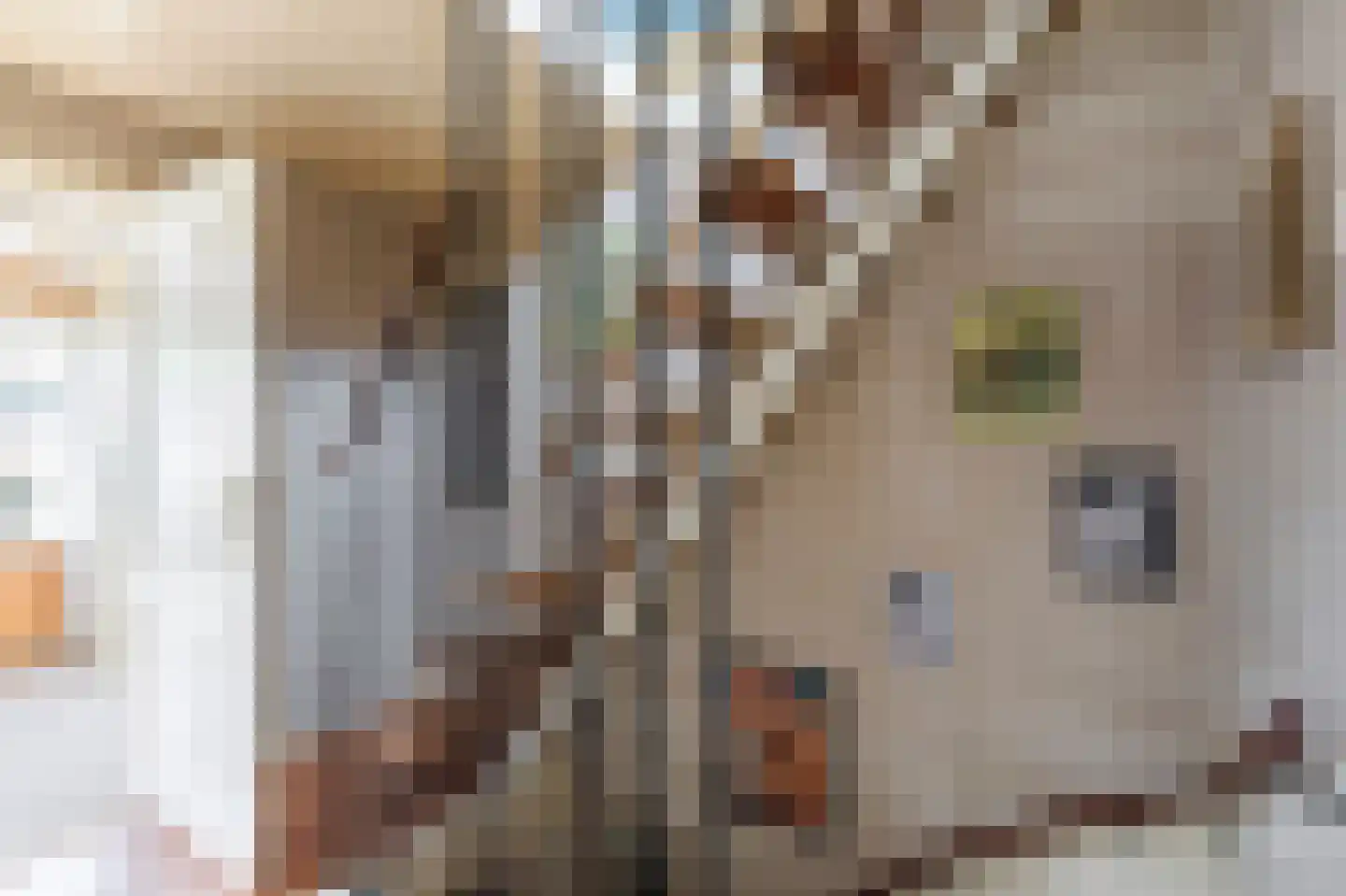 De Schans 7 Hoornaar thumbnail 14