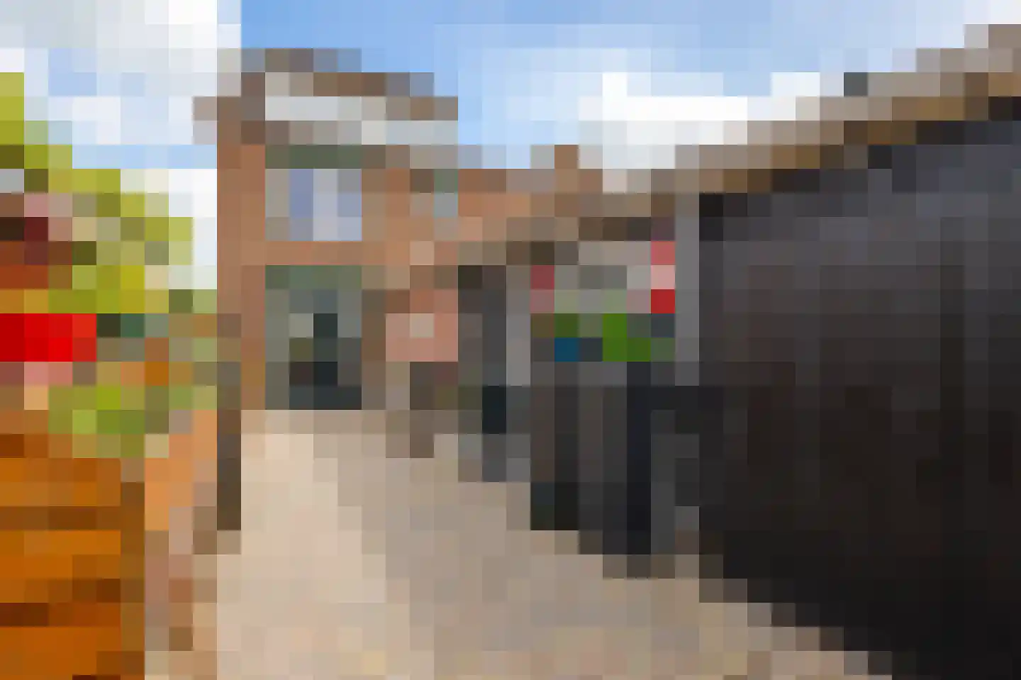 De Schans 7 Hoornaar thumbnail 22