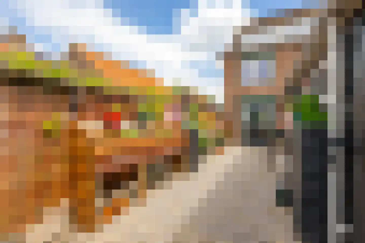 De Schans 7 Hoornaar thumbnail 23