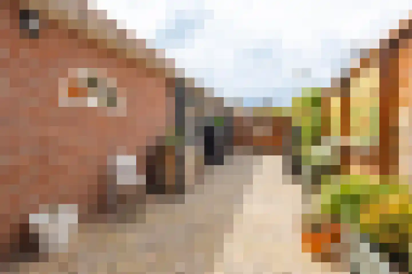 De Schans 7 Hoornaar thumbnail 24