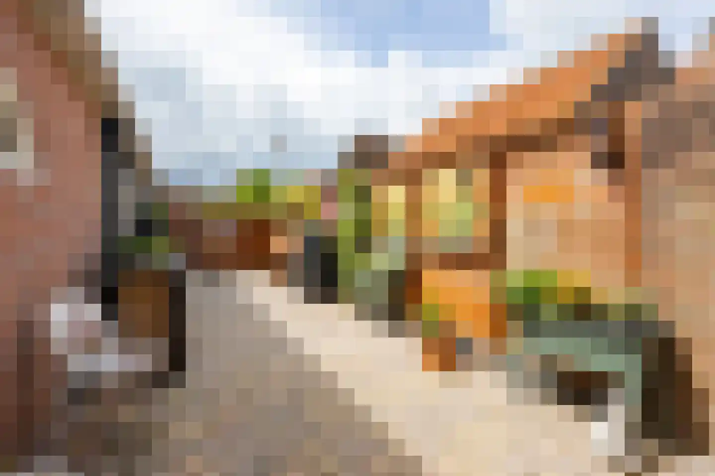 De Schans 7 Hoornaar thumbnail 25