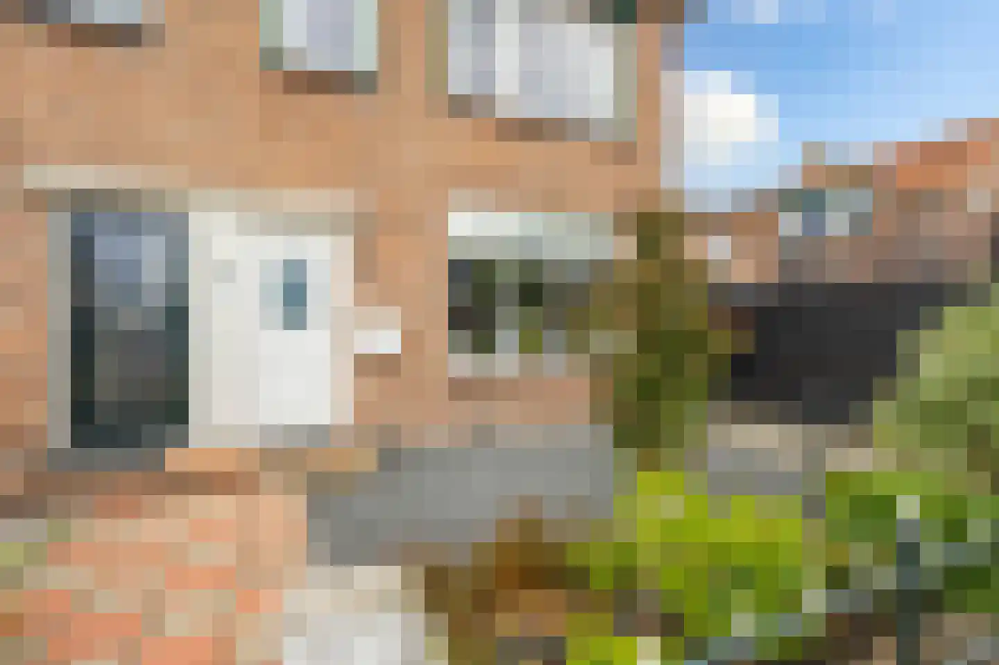 De Schans 7 Hoornaar thumbnail 29