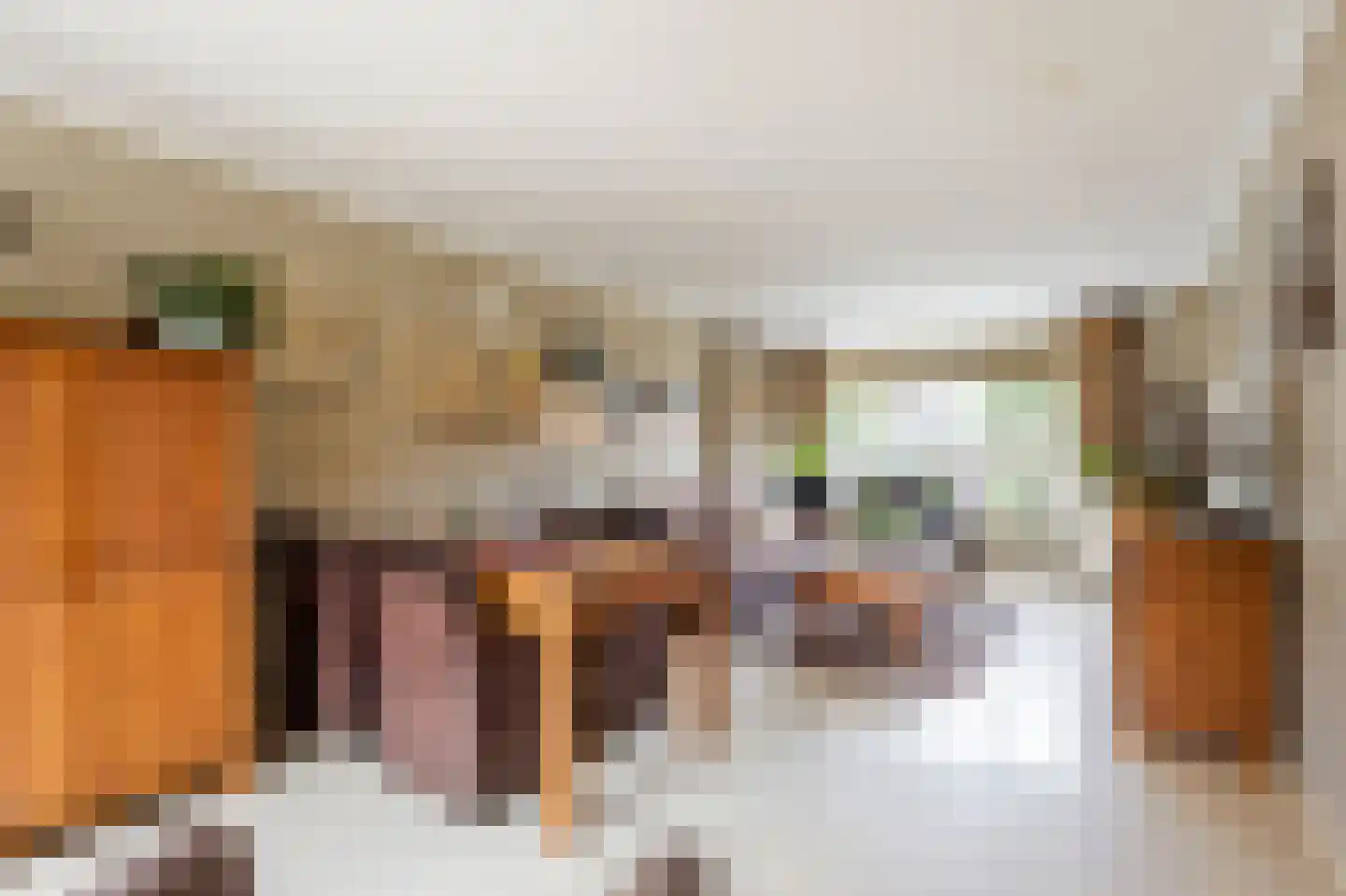 De Schans 7 Hoornaar thumbnail 4