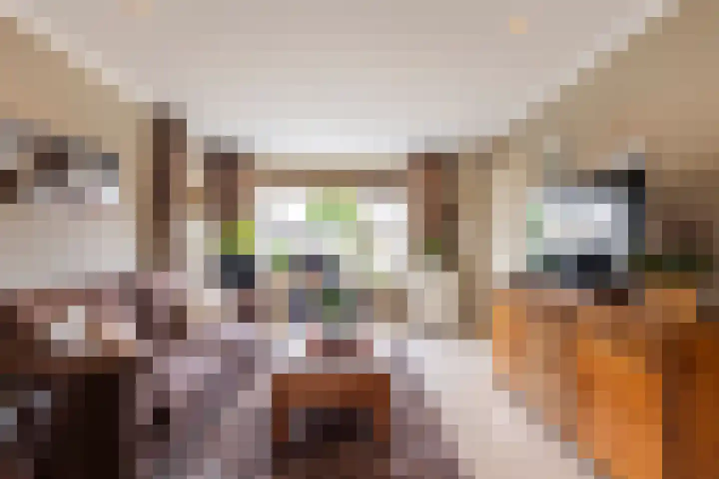 De Schans 7 Hoornaar thumbnail 5