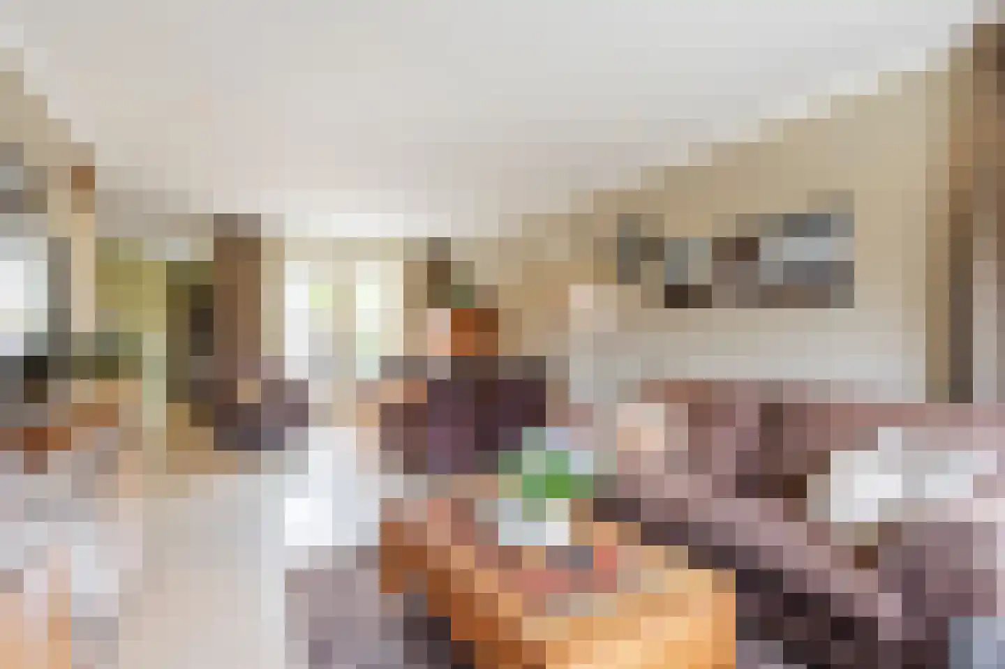 De Schans 7 Hoornaar thumbnail 6