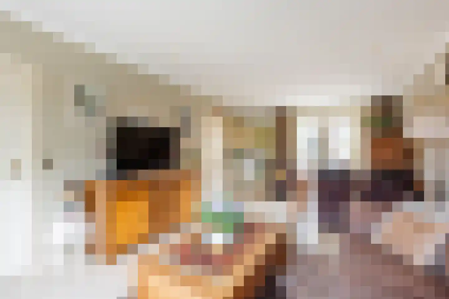 De Schans 7 Hoornaar thumbnail 7