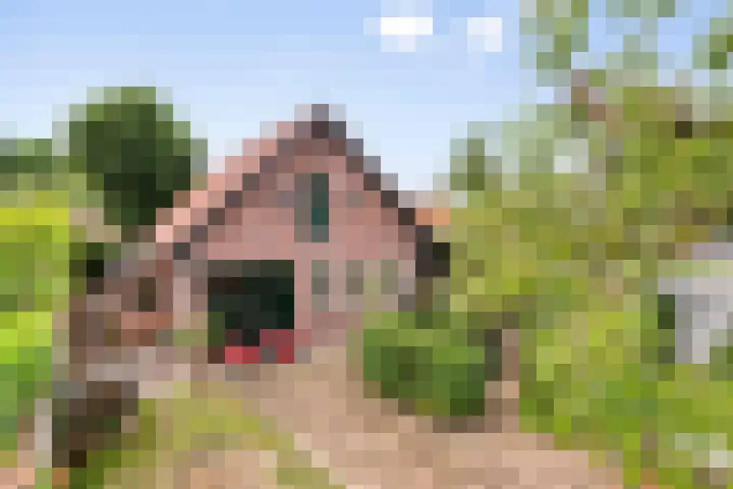 De Schans 73 in Tilburg