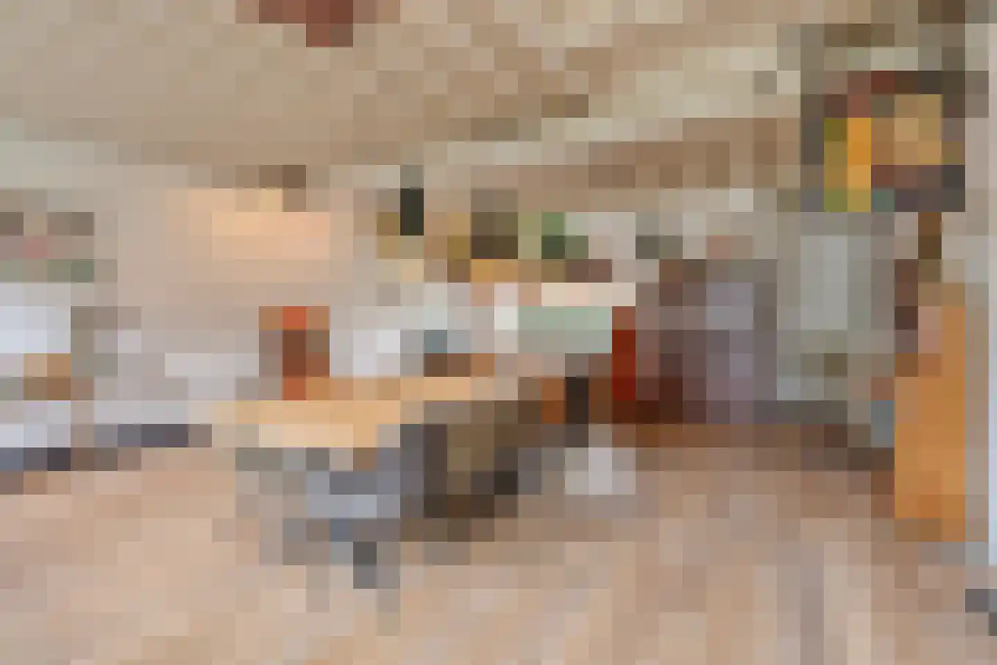 De Schans 73 Tilburg thumbnail 12