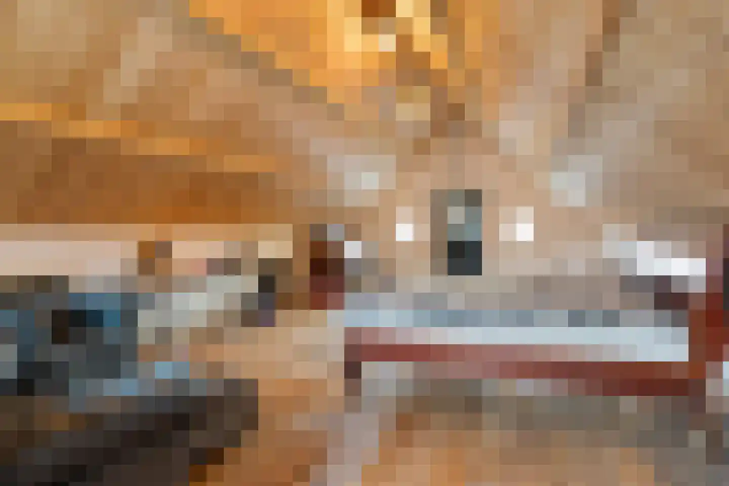 De Schans 73 Tilburg thumbnail 34