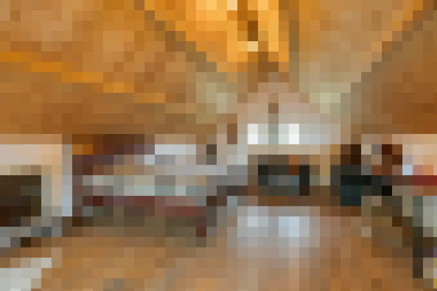 De Schans 73 Tilburg thumbnail 37