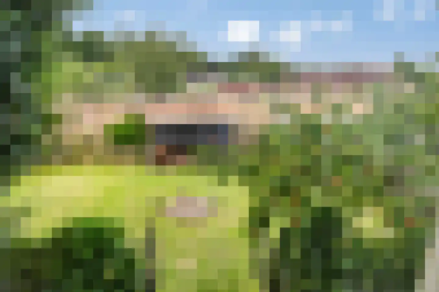 De Schans 73 Tilburg thumbnail 41