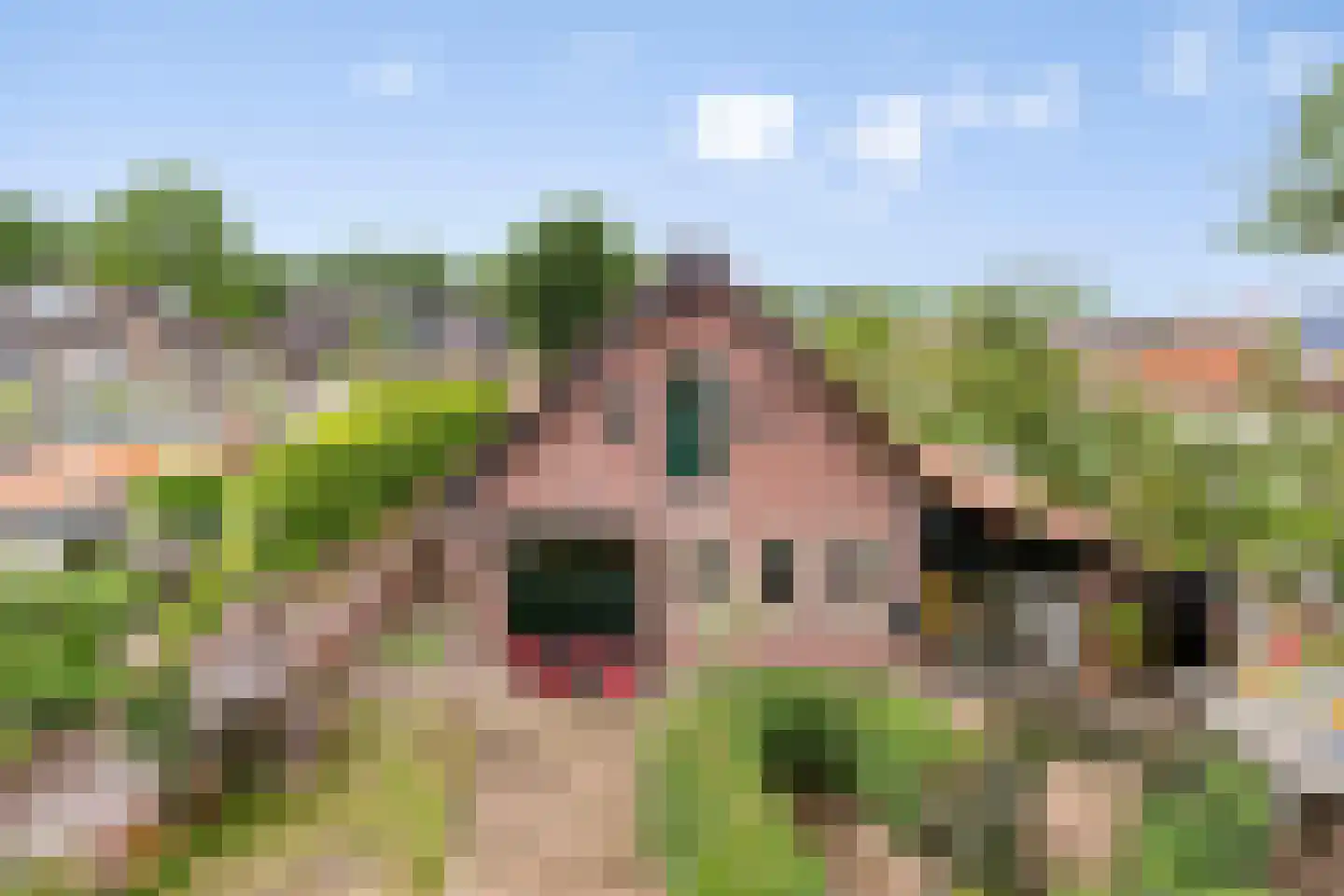 De Schans 73 Tilburg thumbnail 44