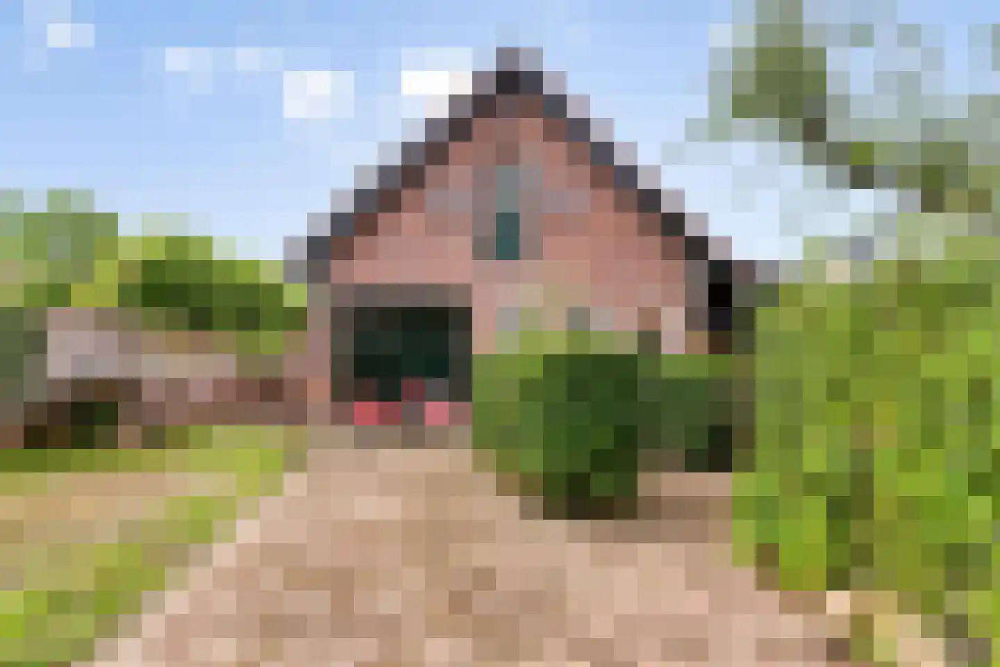 De Schans 73 Tilburg thumbnail 45