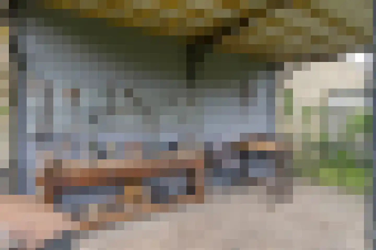 De Schans 73 Tilburg thumbnail 58