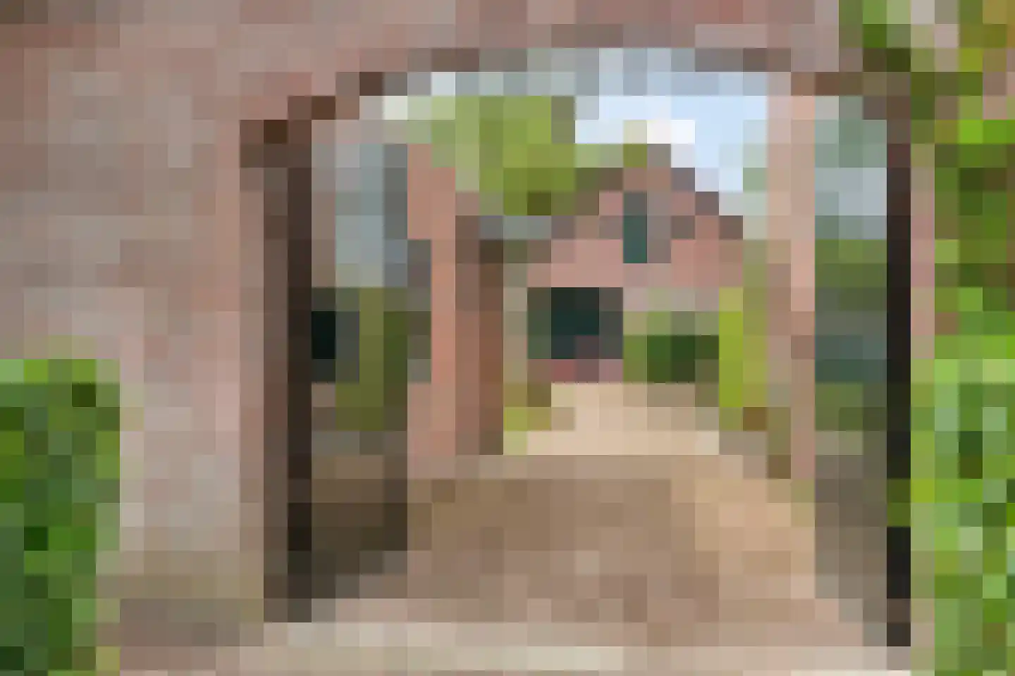De Schans 73 Tilburg thumbnail 6