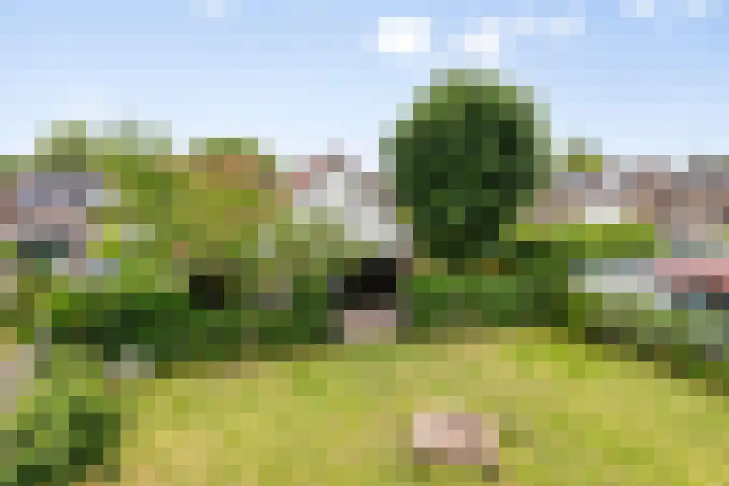 De Schans 73 Tilburg thumbnail 60