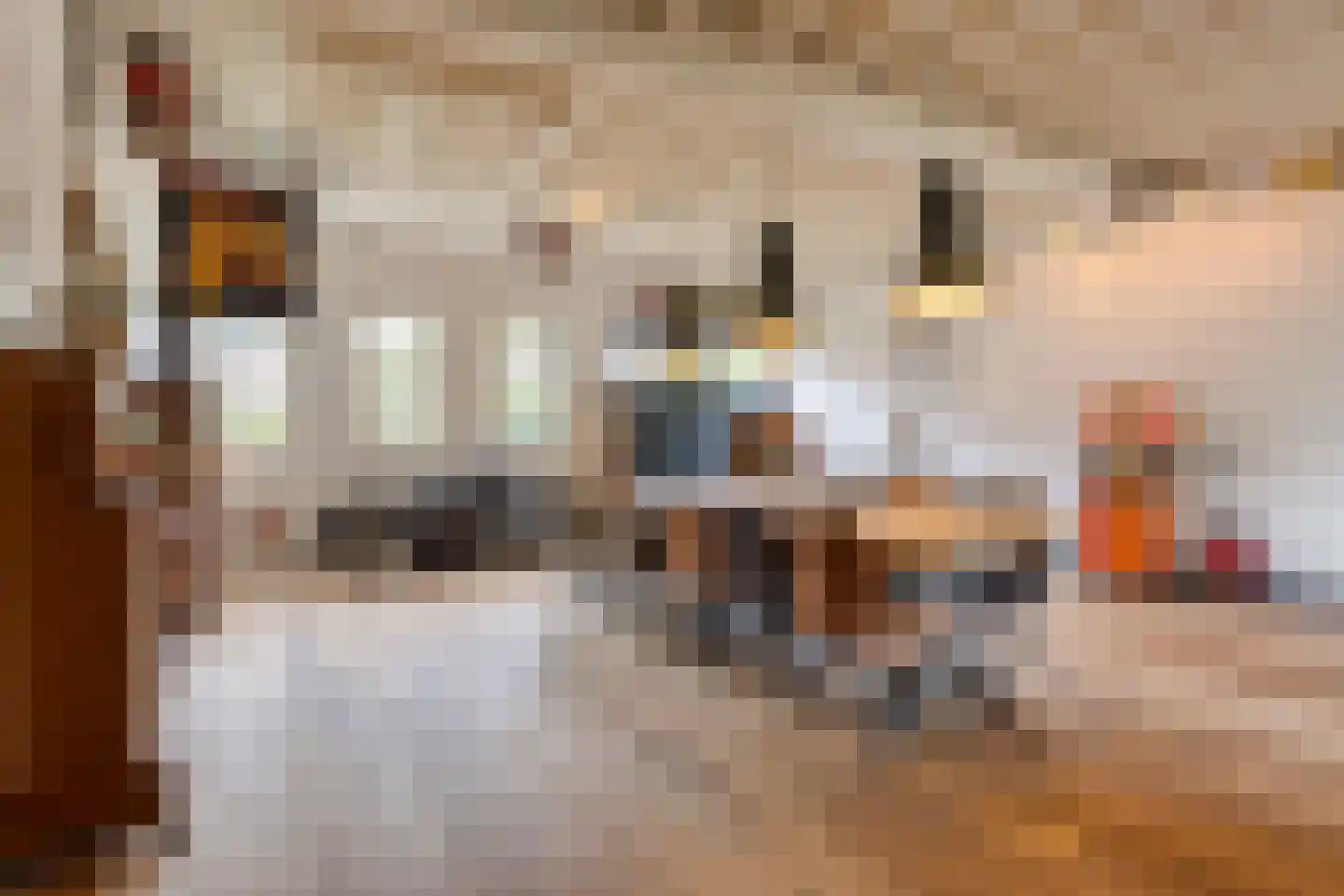 De Schans 73 Tilburg thumbnail 9