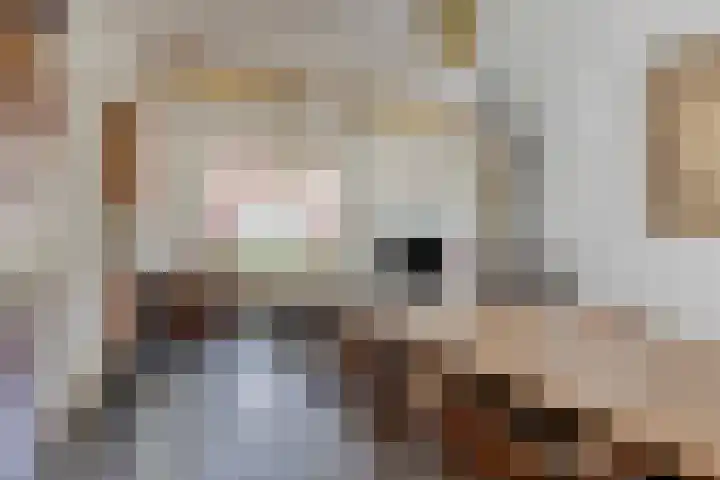 De Schans 74 Tilburg thumbnail 15
