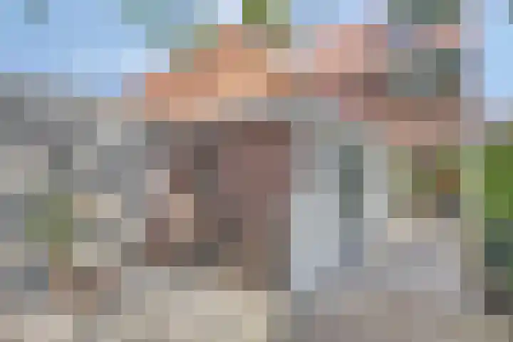 De Schans 74 Tilburg thumbnail 4