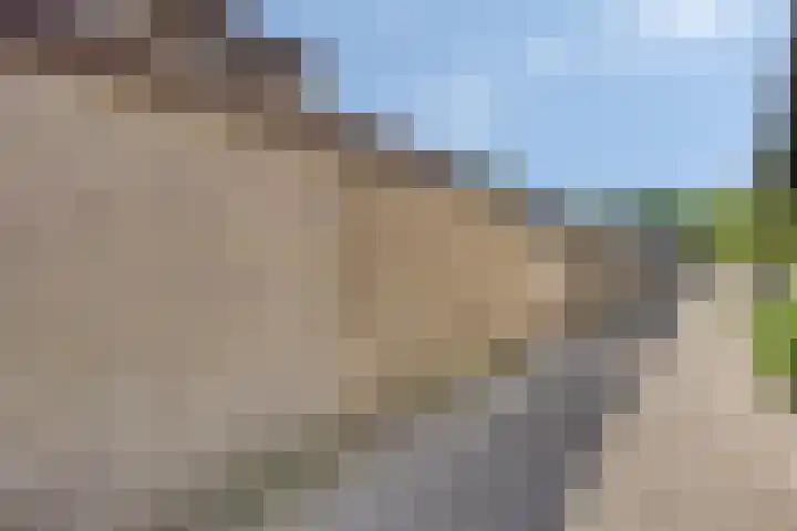 De Schans 74 Tilburg thumbnail 66