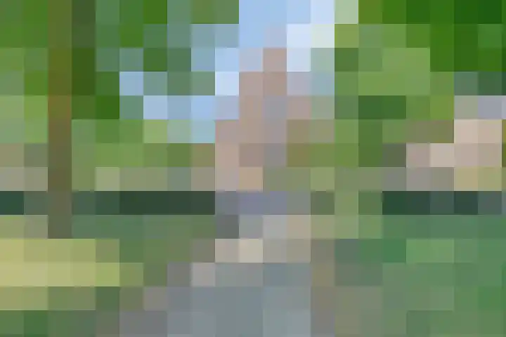 De Schans 74 Tilburg thumbnail 72