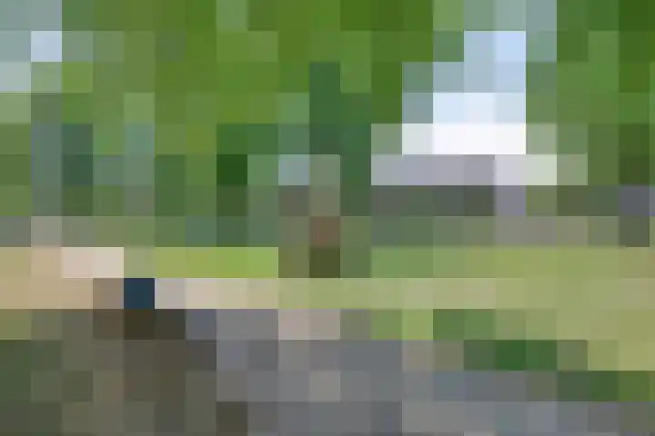 De Schans 74 Tilburg thumbnail 73
