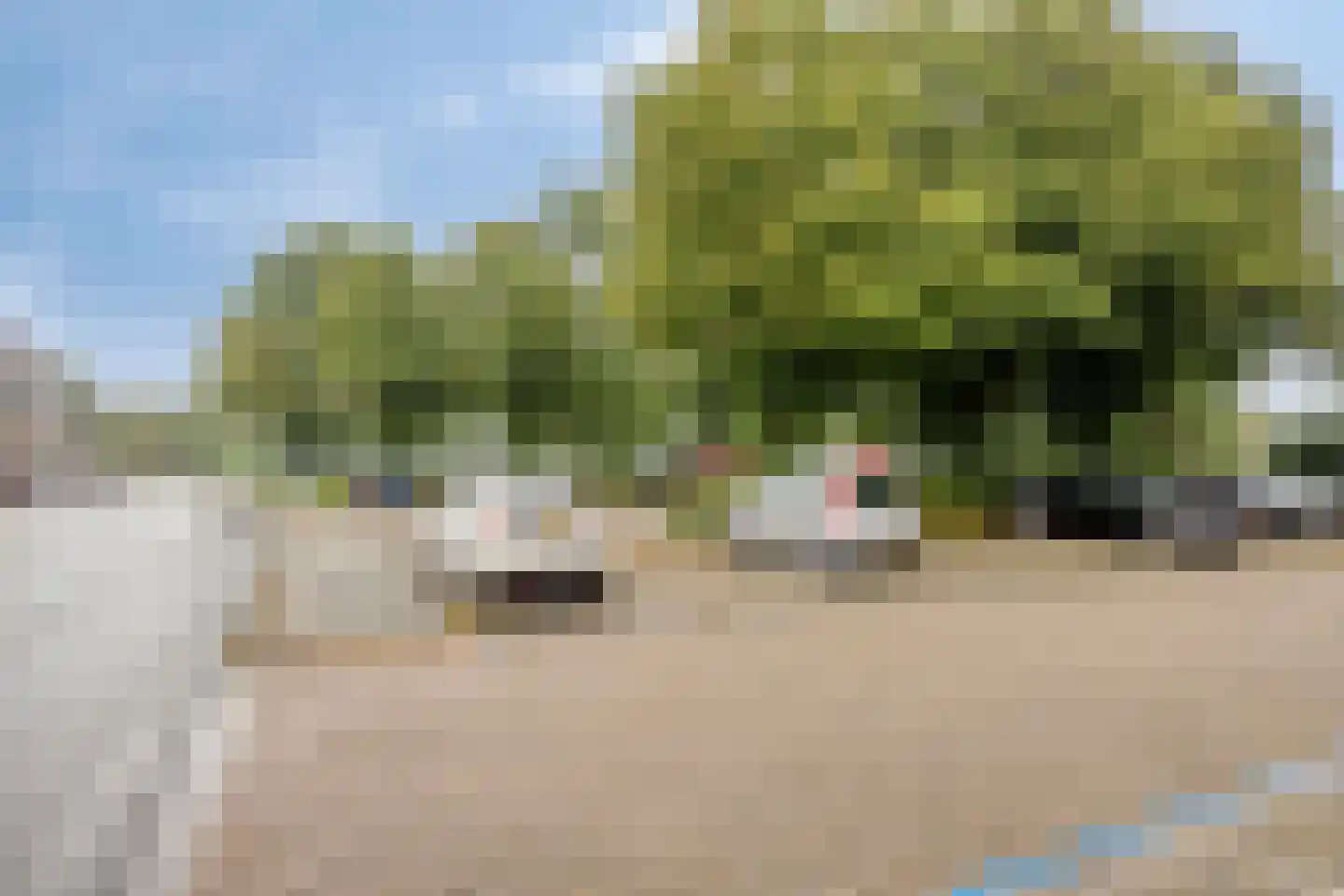 de Schans 76 Leek thumbnail 27