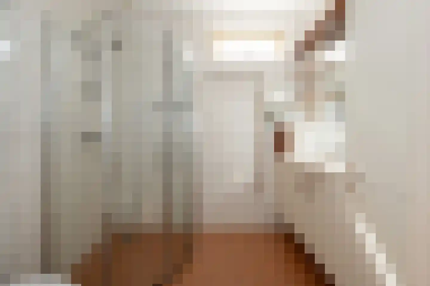 de Schans 8 Epe thumbnail 13