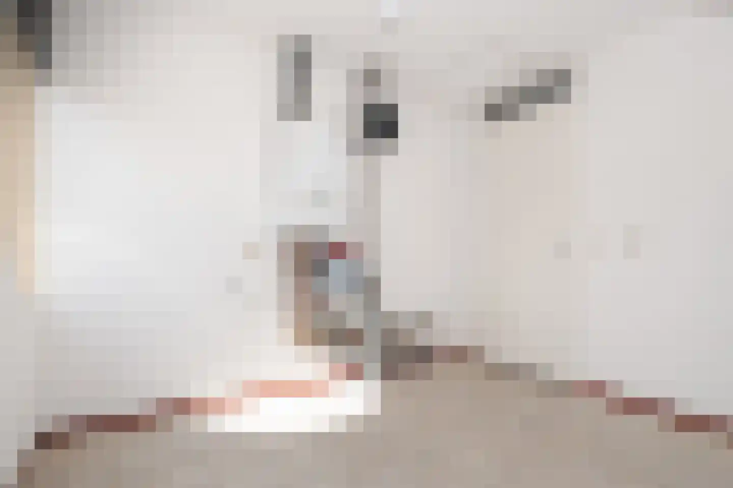 de Schans 8 Epe thumbnail 18