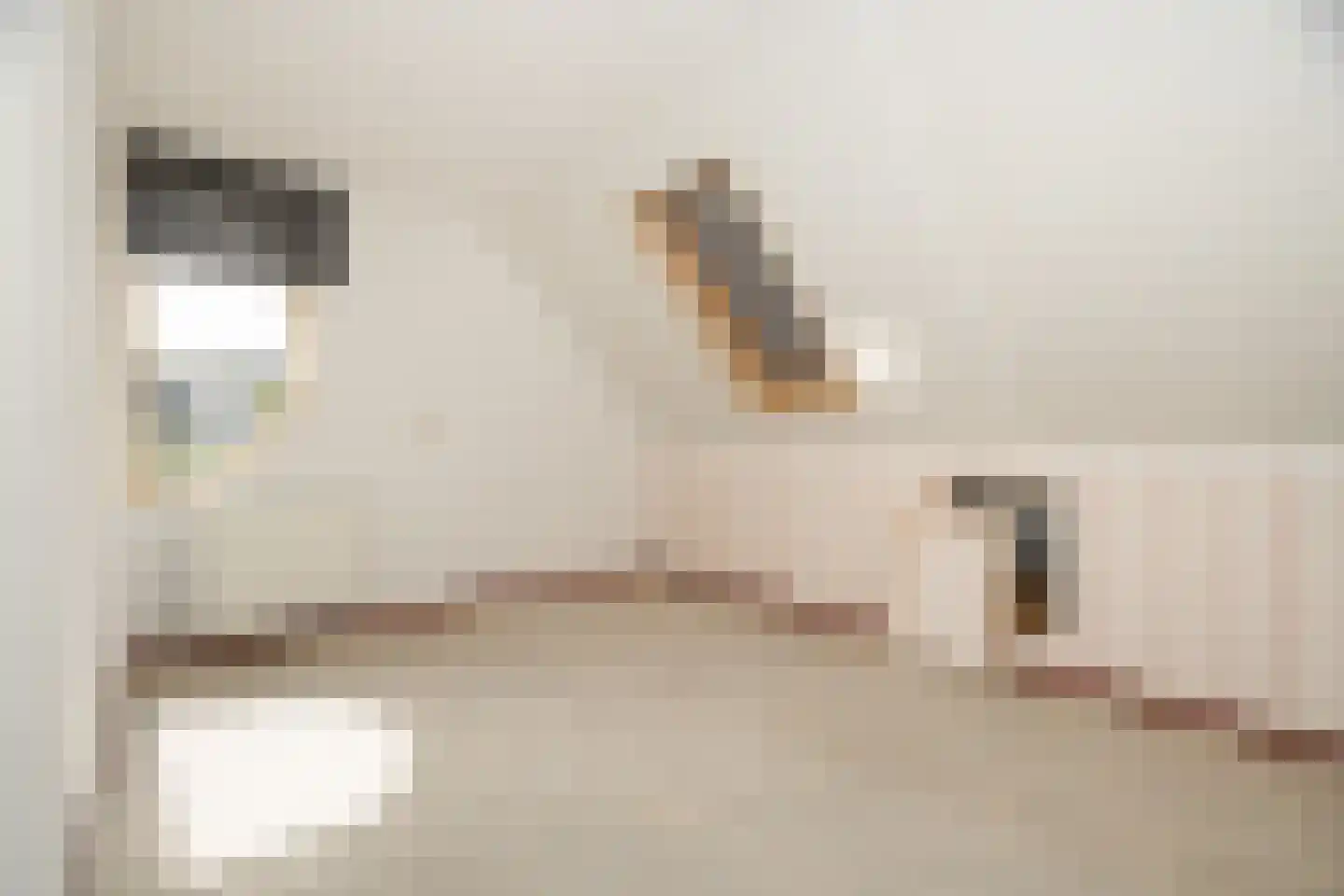 de Schans 8 Epe thumbnail 19