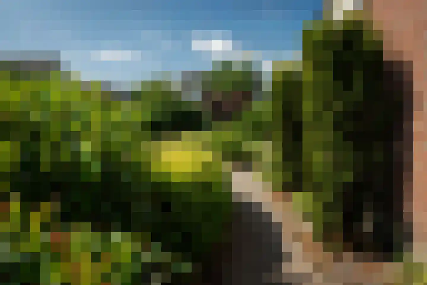 de Schans 8 Epe thumbnail 24