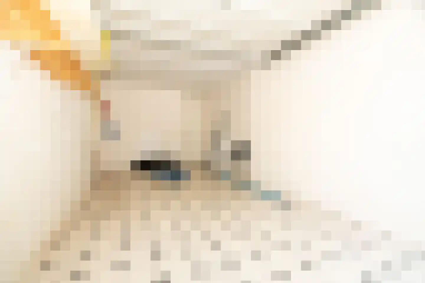 de Schans 8 Epe thumbnail 27