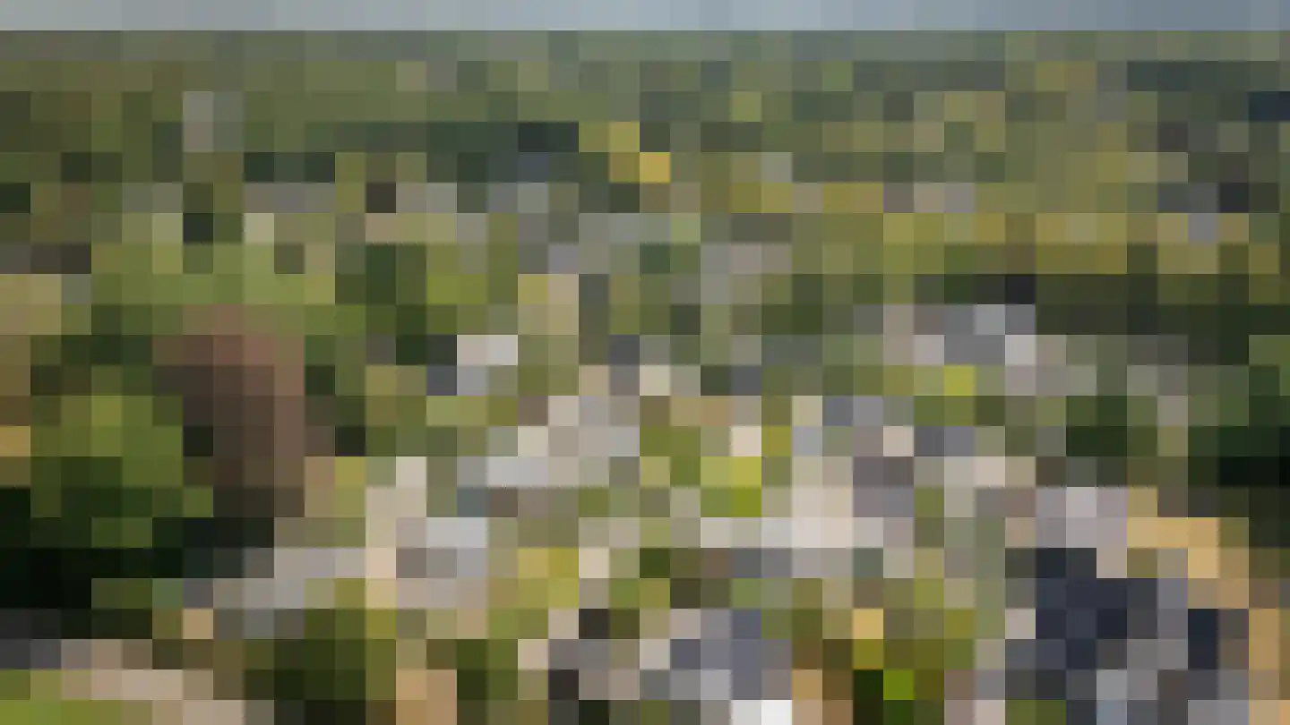 de Schans 8 Epe thumbnail 28
