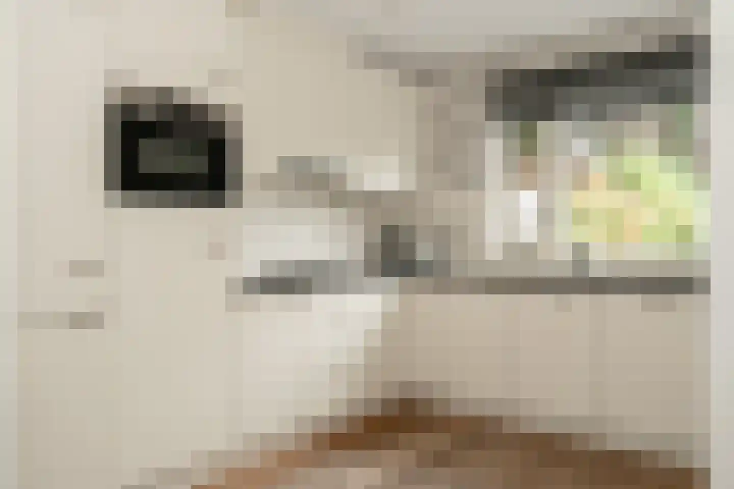 de Schans 8 Epe thumbnail 9