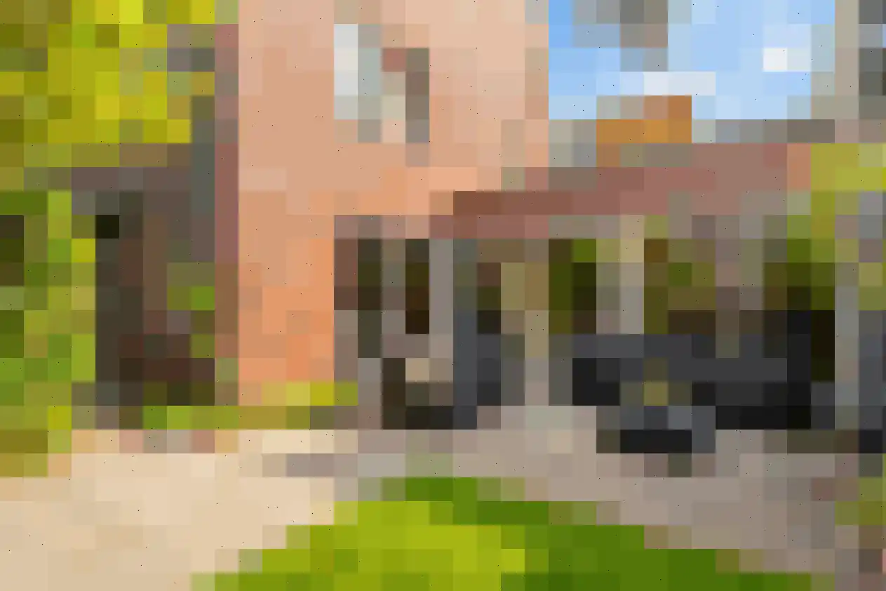De Schans 9 Groningen thumbnail 22