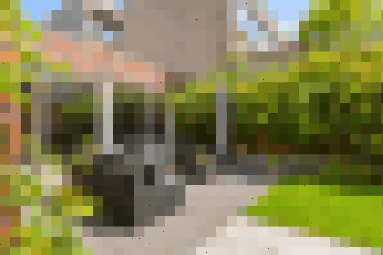De Schans 9 Groningen thumbnail 23