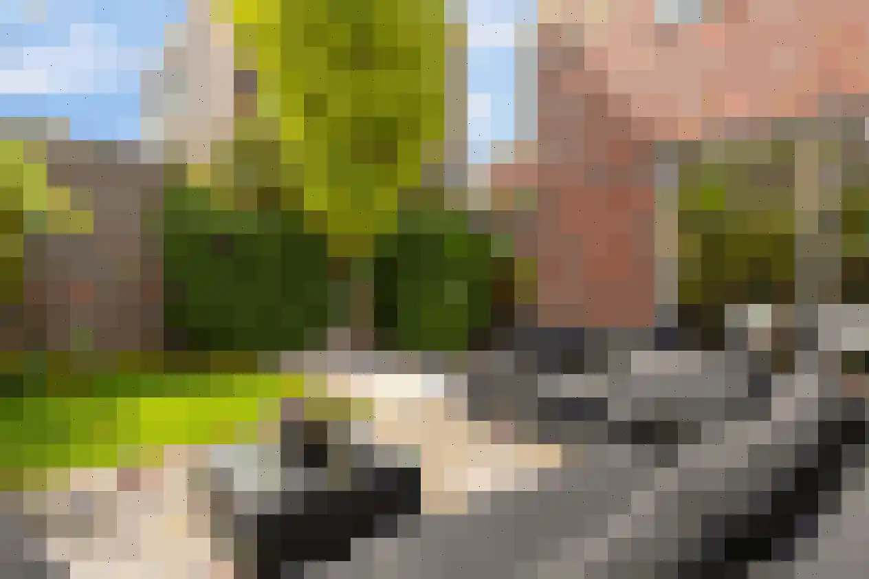 De Schans 9 Groningen thumbnail 24