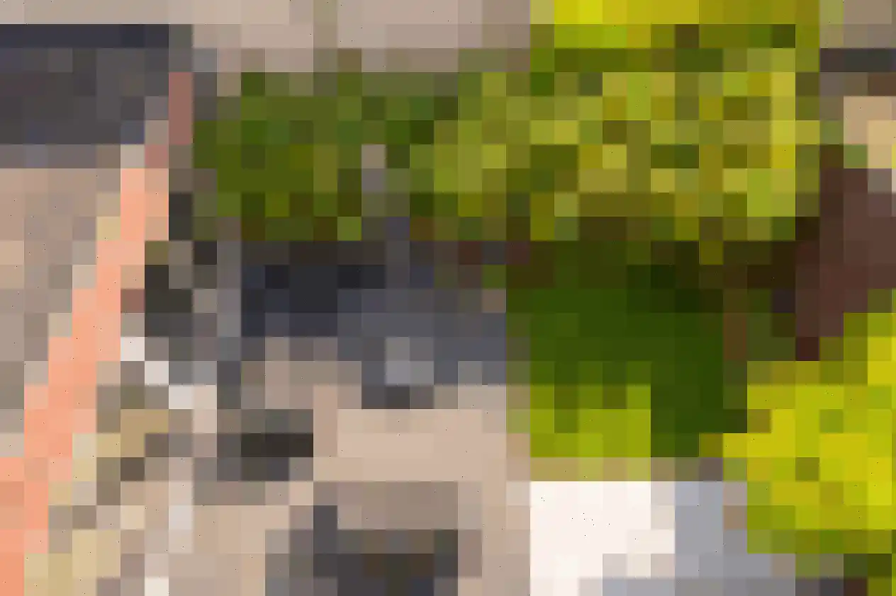 De Schans 9 Groningen thumbnail 50