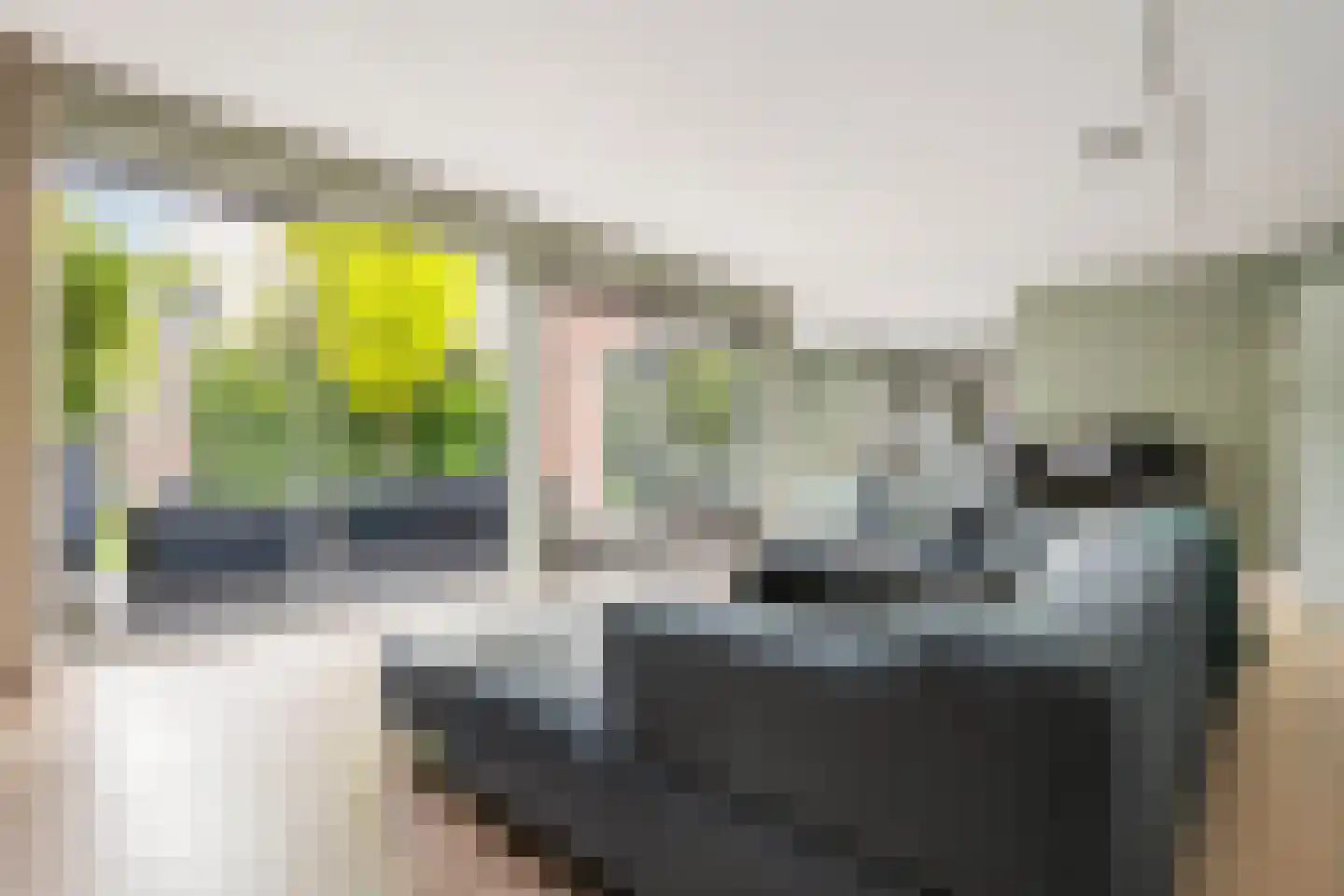 De Schans 9 Groningen thumbnail 8