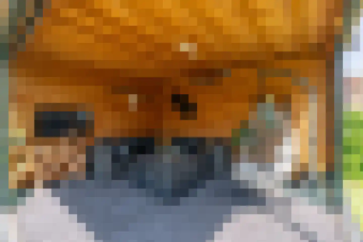 De Schans 9 Rijnsburg thumbnail 39