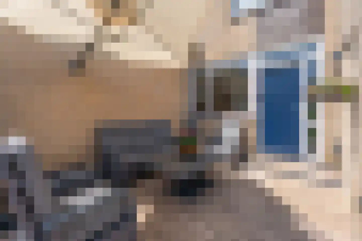 De Schans 9 Rijnsburg thumbnail 41